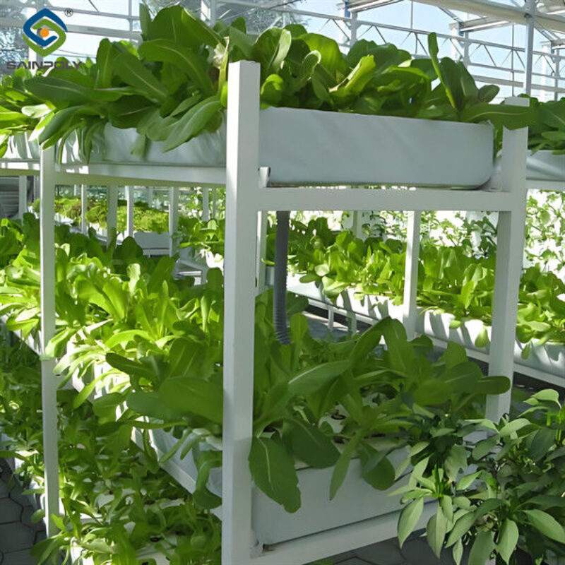 Double Film Indoor Outdoor Hydroponic Greenhouse Tomato Production