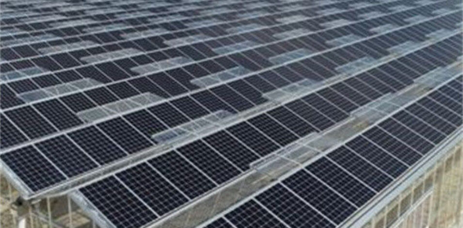 Double Layers Glass Cover Photovoltaic Greenhouse Solar Panel Greenhouse