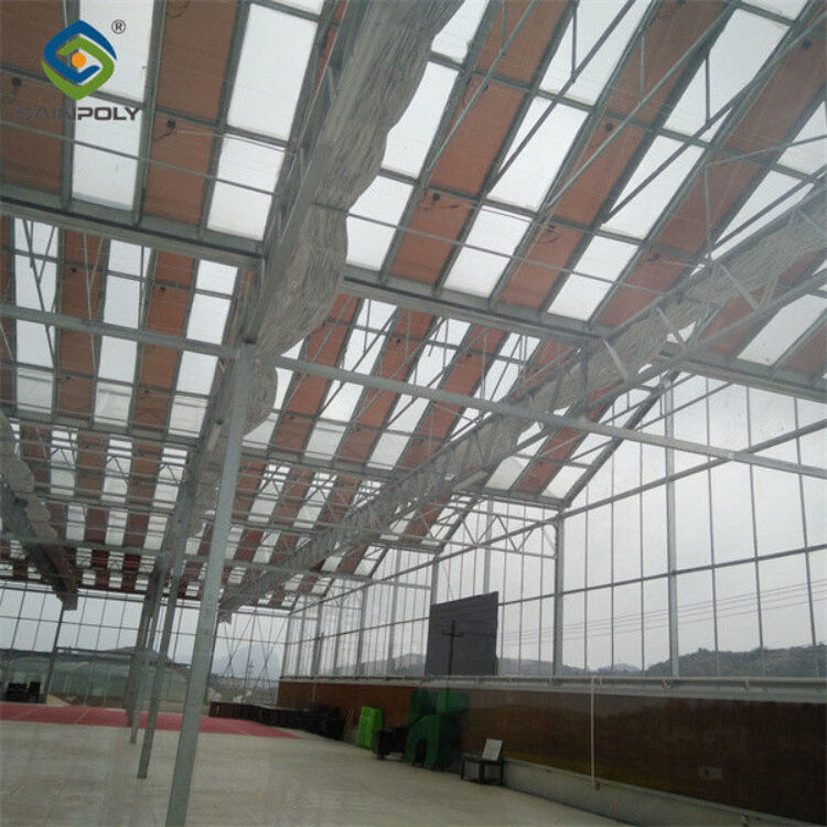 Double Layers Glass Cover Photovoltaic Greenhouse Solar Panel Greenhouse