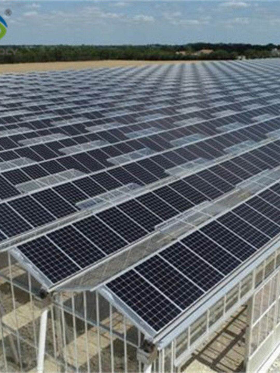 Double Layers Glass Cover Photovoltaic Greenhouse Solar Panel Greenhouse