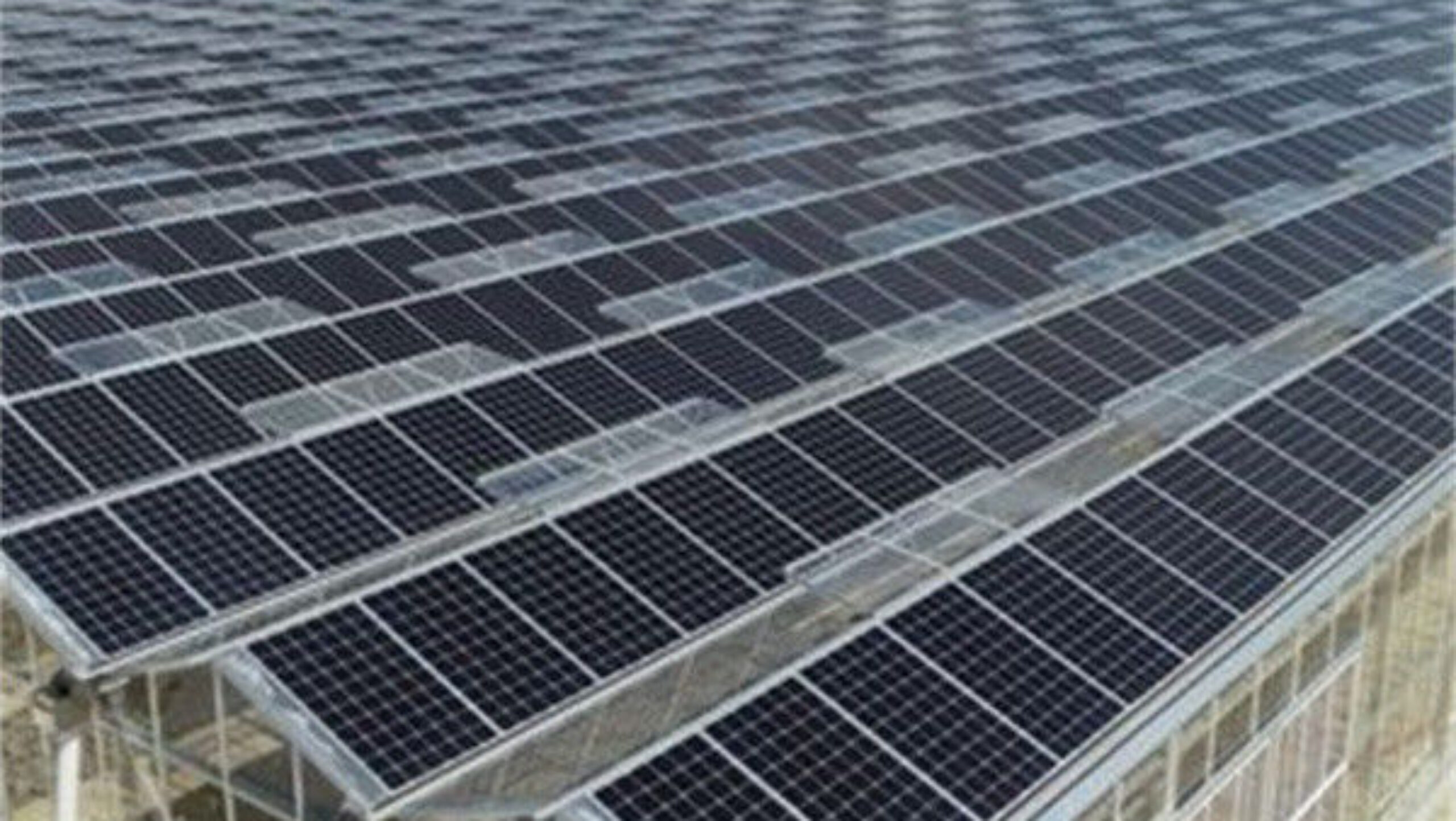 Double Layers Glass Cover Photovoltaic Greenhouse Solar Panel Greenhouse