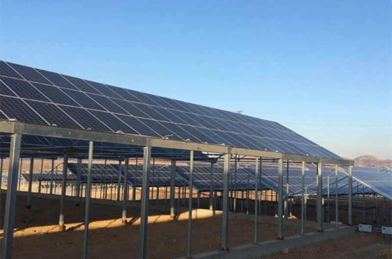 Double Layers Glass Cover Photovoltaic Greenhouse Solar Panel Greenhouse