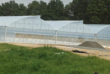 Double Po Film Gothic High Tunnel Greenhouse High Strength Anticorrosive