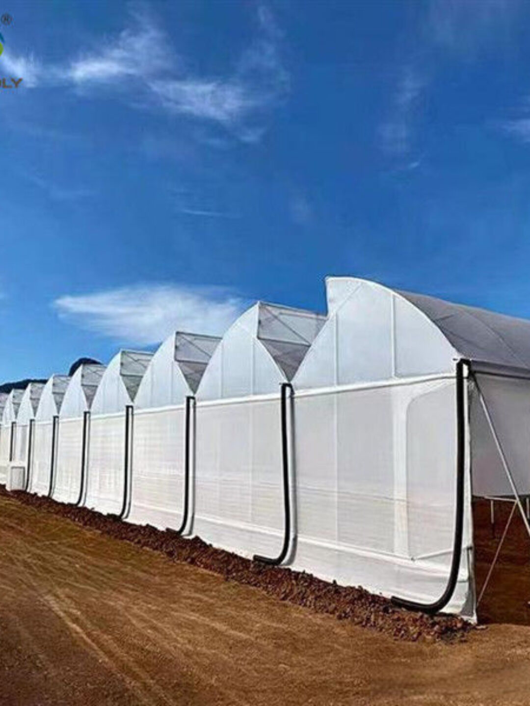 Double Po Film Gothic High Tunnel Greenhouse High Strength Anticorrosive