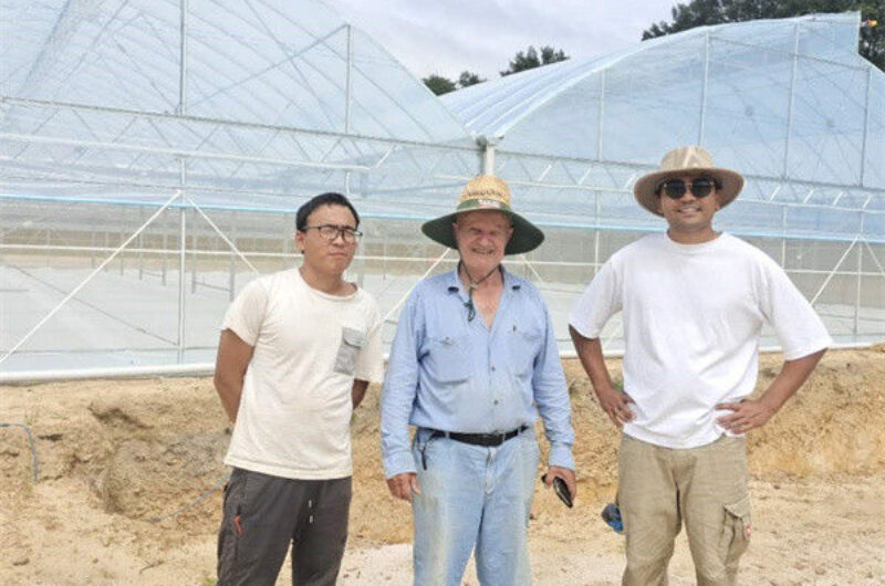 Double Po Film Gothic High Tunnel Greenhouse High Strength Anticorrosive