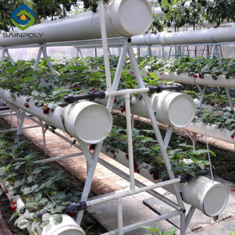 Easily Assembled Fruit Growing Greenhouse Strawberry Production