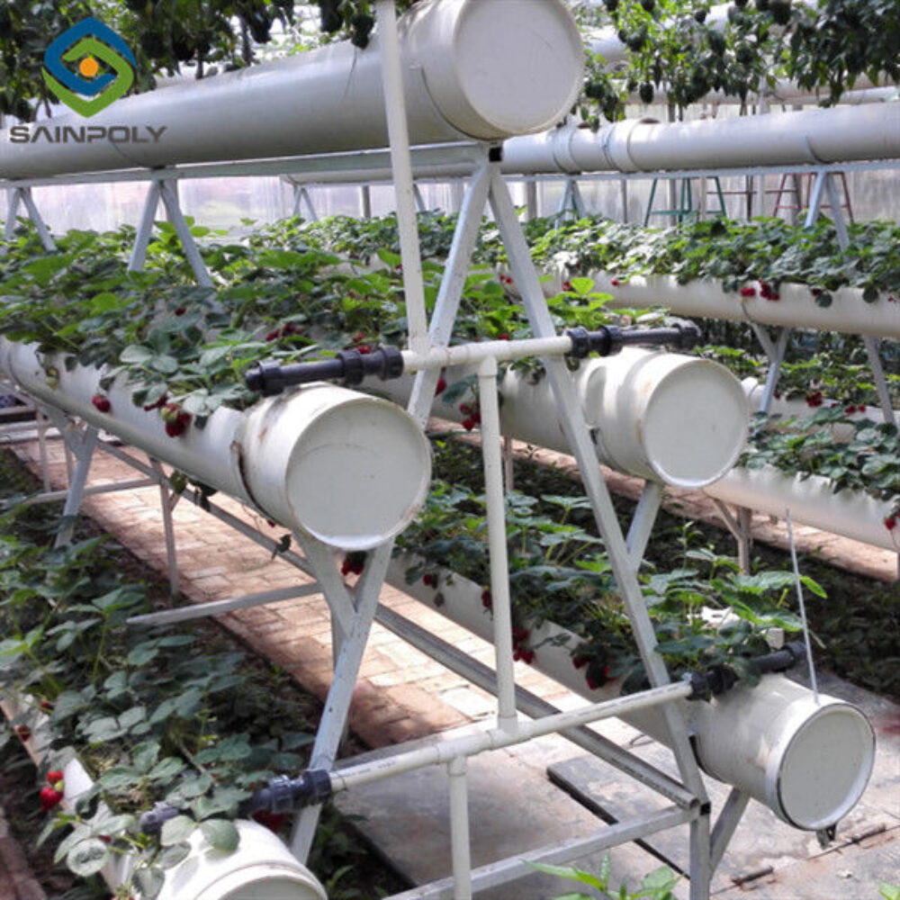 Easily Assembled Fruit Growing Greenhouse Strawberry Production