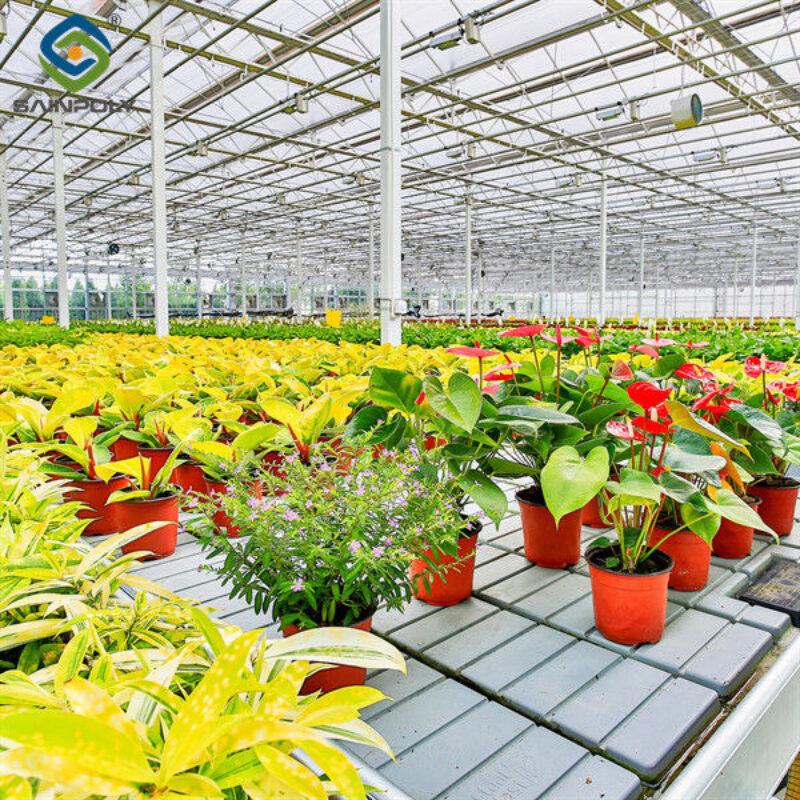 Easy Assembly Glass Type Flower Greenhouses With Hydroponic Growing System