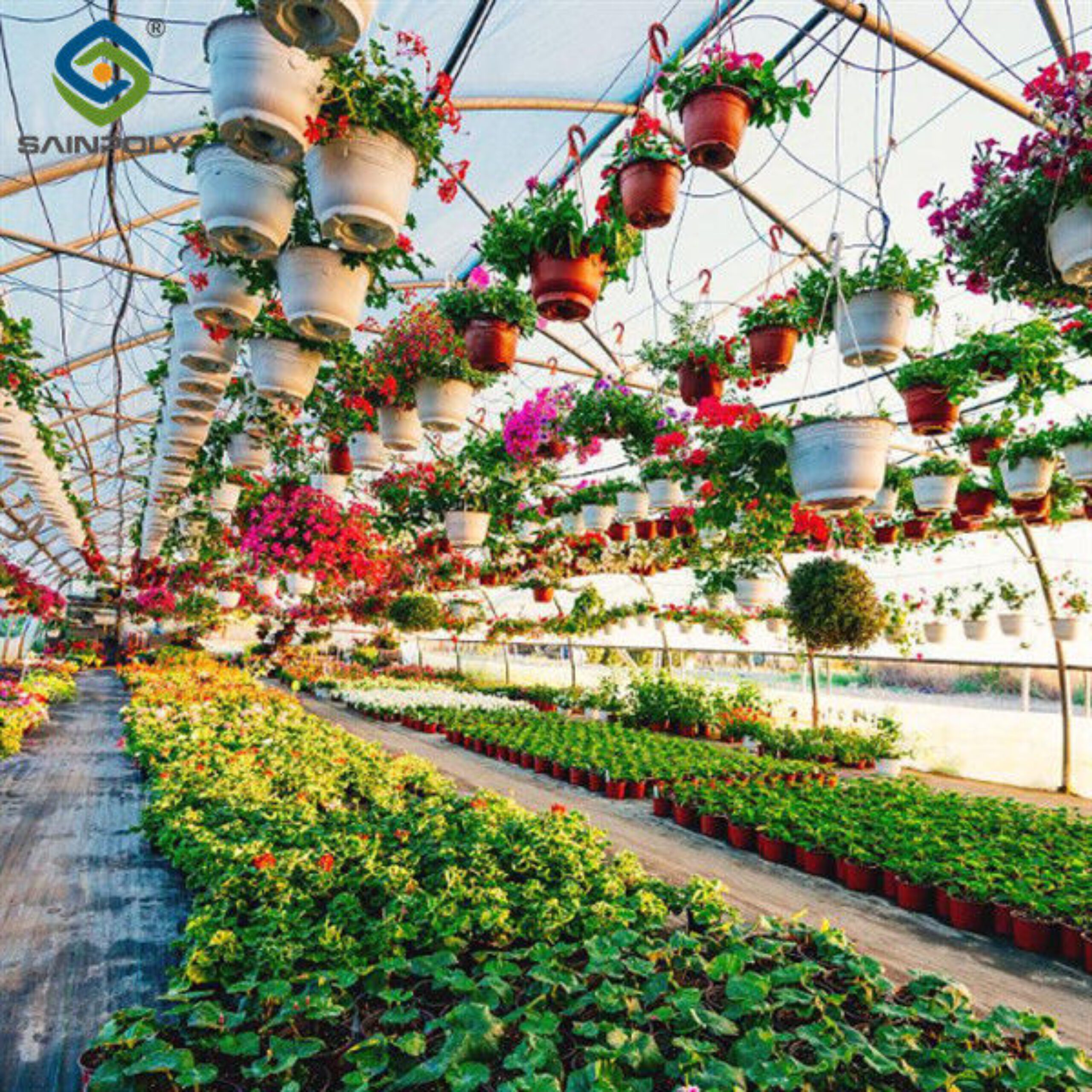 Easy Assembly Glass Type Flower Greenhouses With Hydroponic Growing System