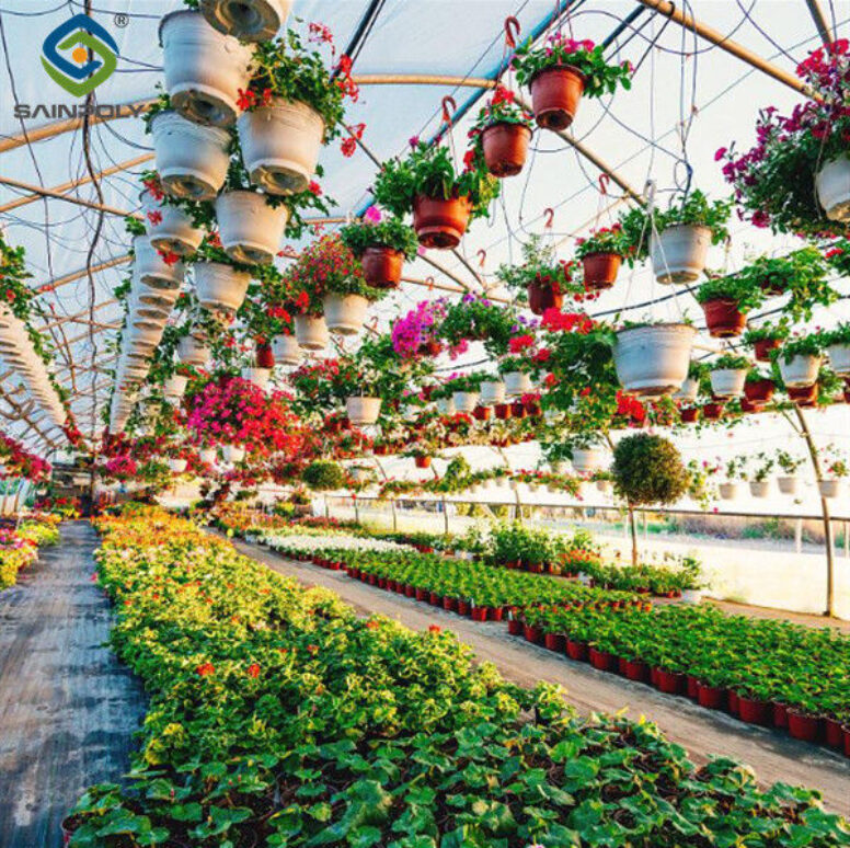 Easy Assembly Glass Type Flower Greenhouses With Hydroponic Growing System