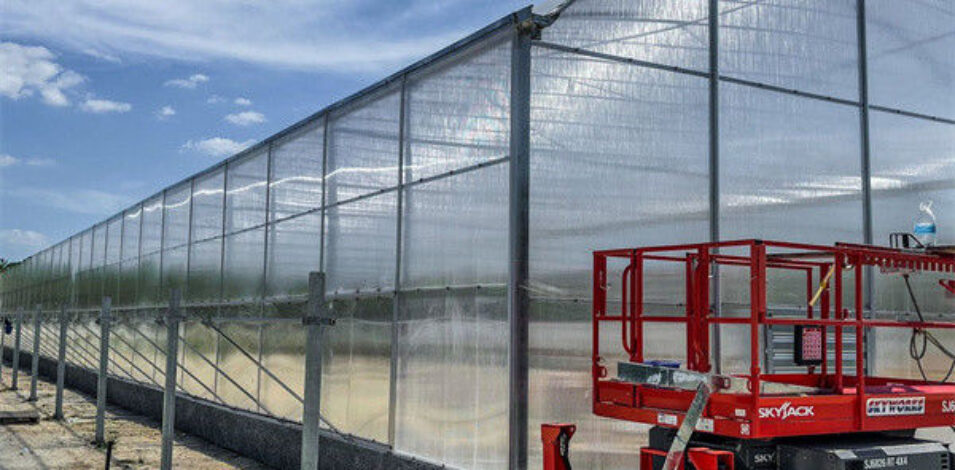 Easy Install Agriculture Green House With Smart Control Systems