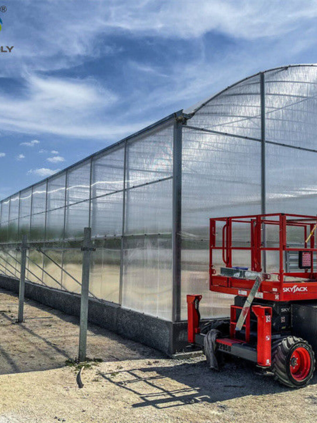 Easy Install Agriculture Green House With Smart Control Systems