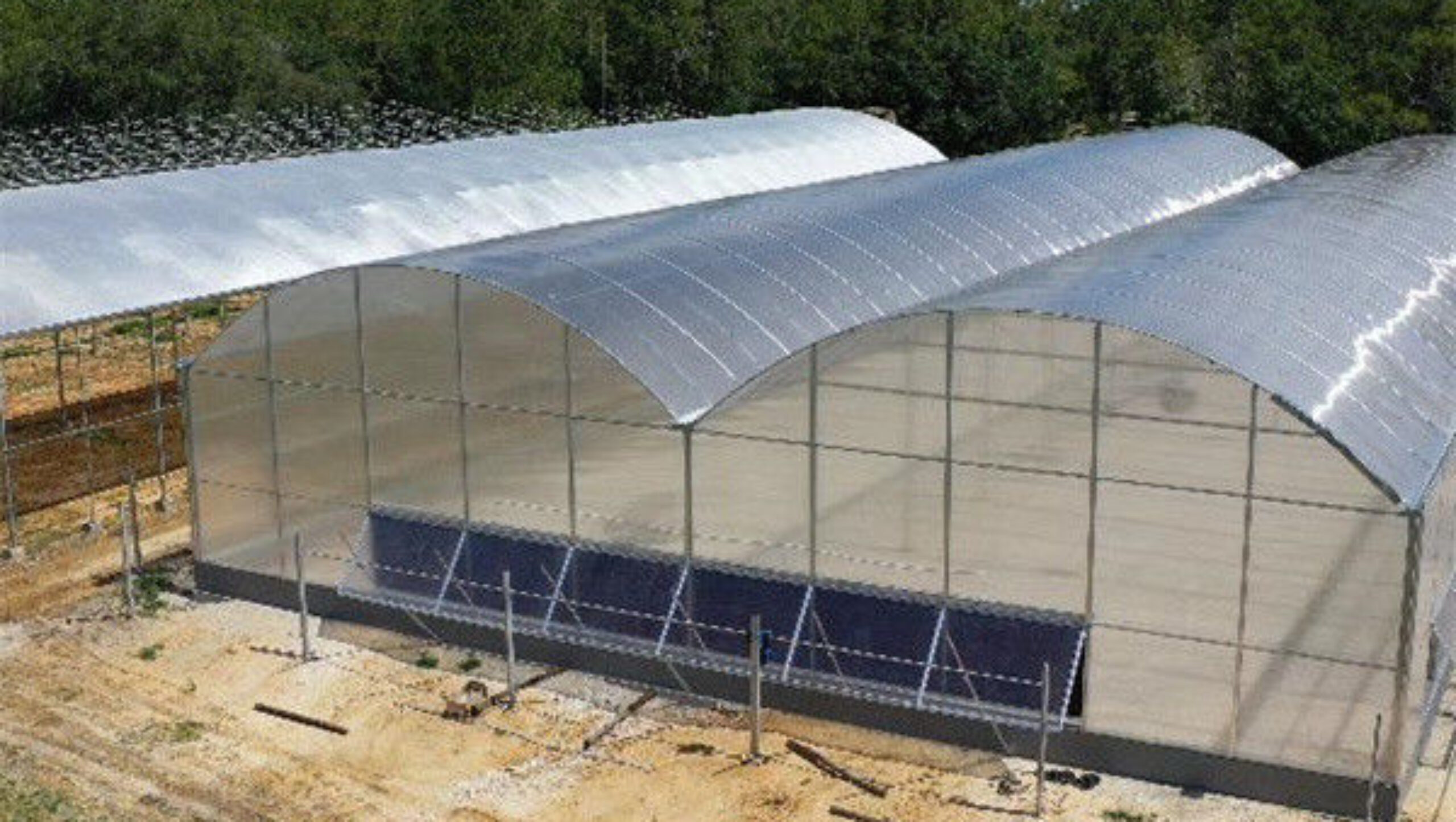 Easy Install Agriculture Green House With Smart Control Systems