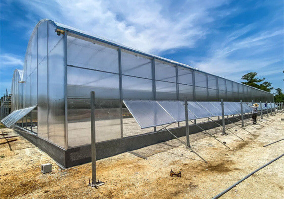 Easy Install Agriculture Green House With Smart Control Systems