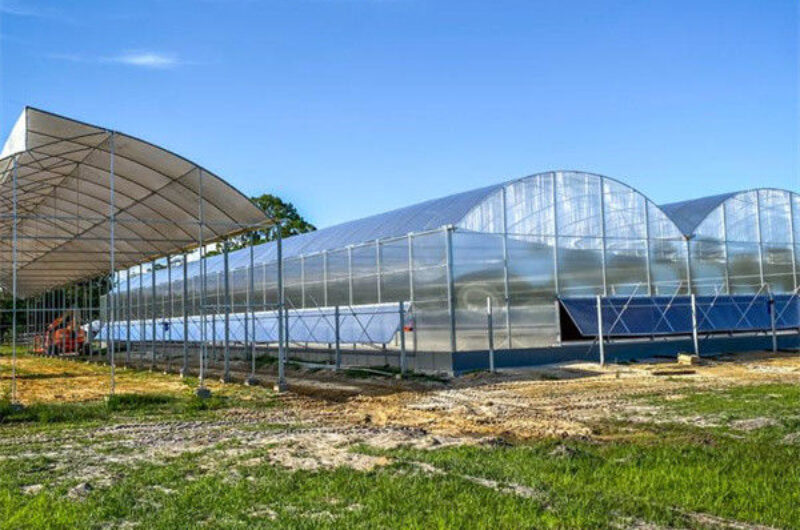 Easy Install Agriculture Green House With Smart Control Systems