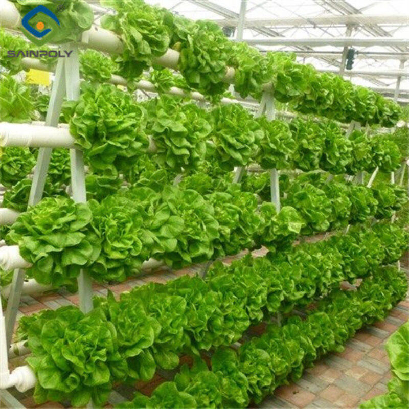Easy Installation Customized Agricultural Greenhouses With LED Lighting