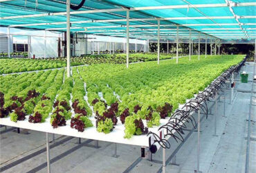 Easy Installation Customized Agricultural Greenhouses With LED Lighting