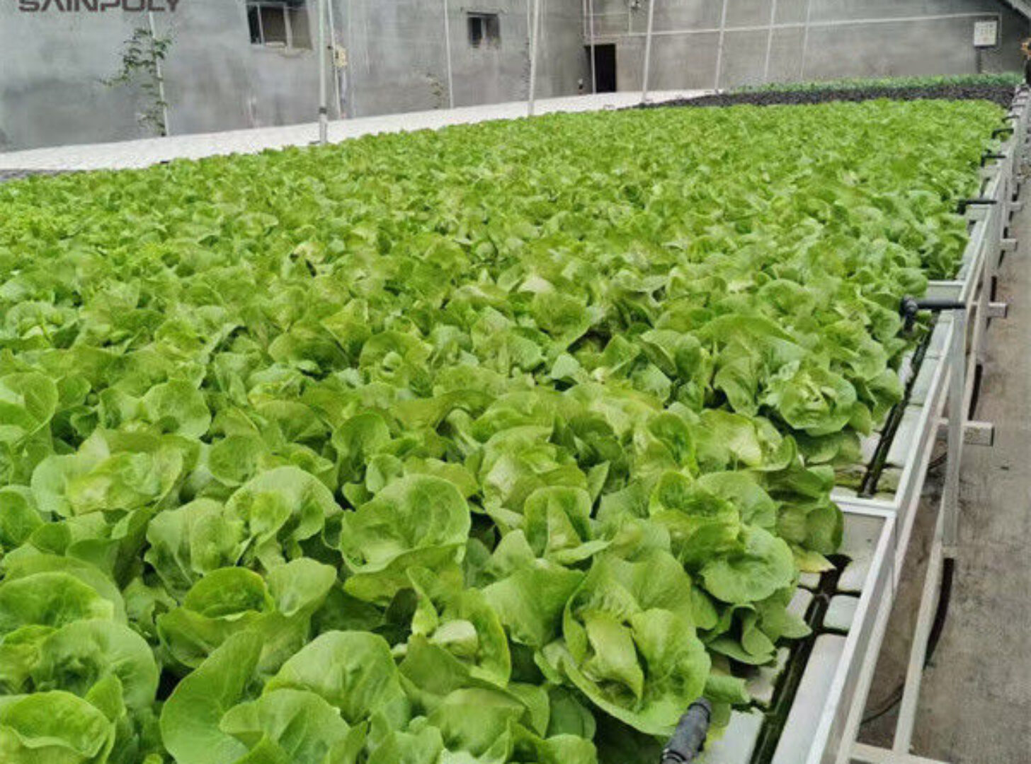 Easy Installation Customized Agricultural Greenhouses With LED Lighting