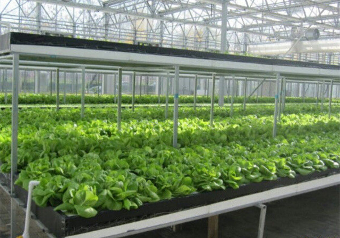 Easy Installation Customized Agricultural Greenhouses With LED Lighting