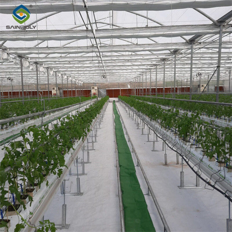 Easy To Assemble Multi Span Greenhouse For Growing Vegetables And Flowers