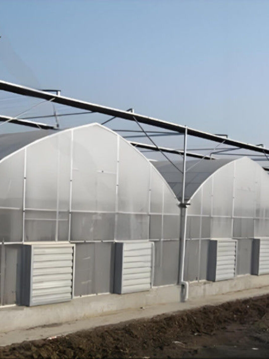 Easy To Assemble Multi Span Greenhouse For Growing Vegetables And Flowers