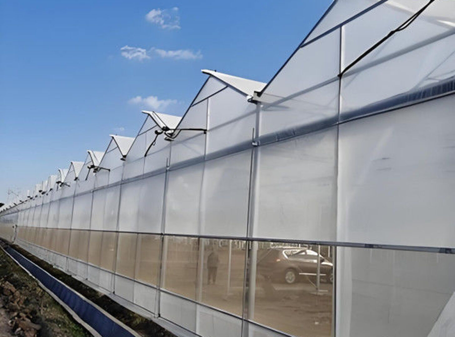 Easy To Assemble Multi Span Greenhouse For Growing Vegetables And Flowers