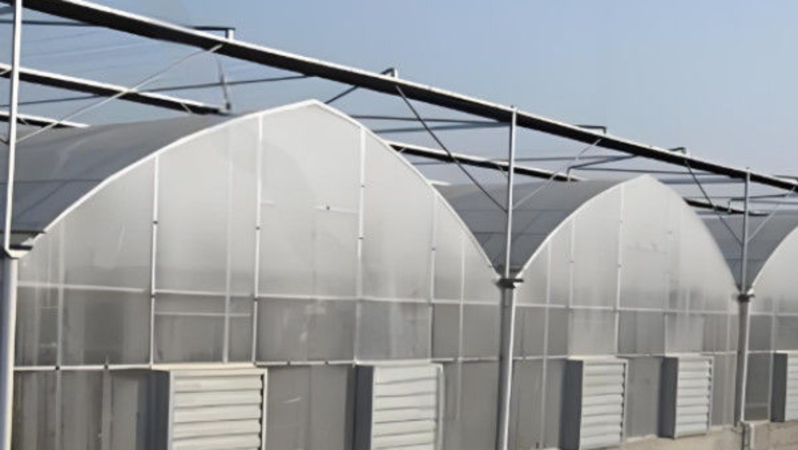Easy To Assemble Multi Span Greenhouse For Growing Vegetables And Flowers