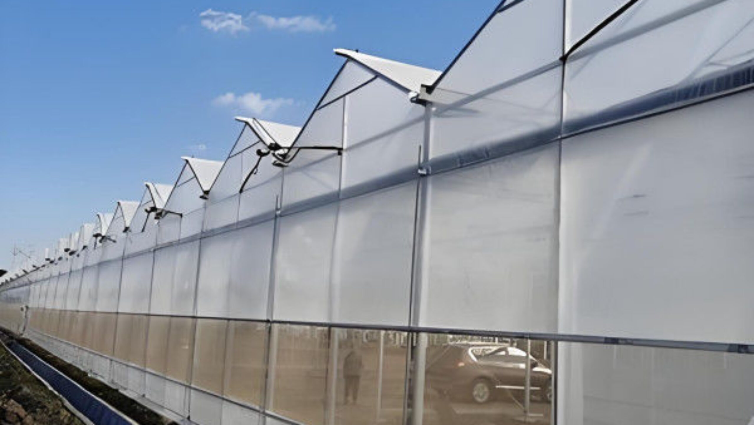 Easy To Assemble Multi Span Greenhouse For Growing Vegetables And Flowers