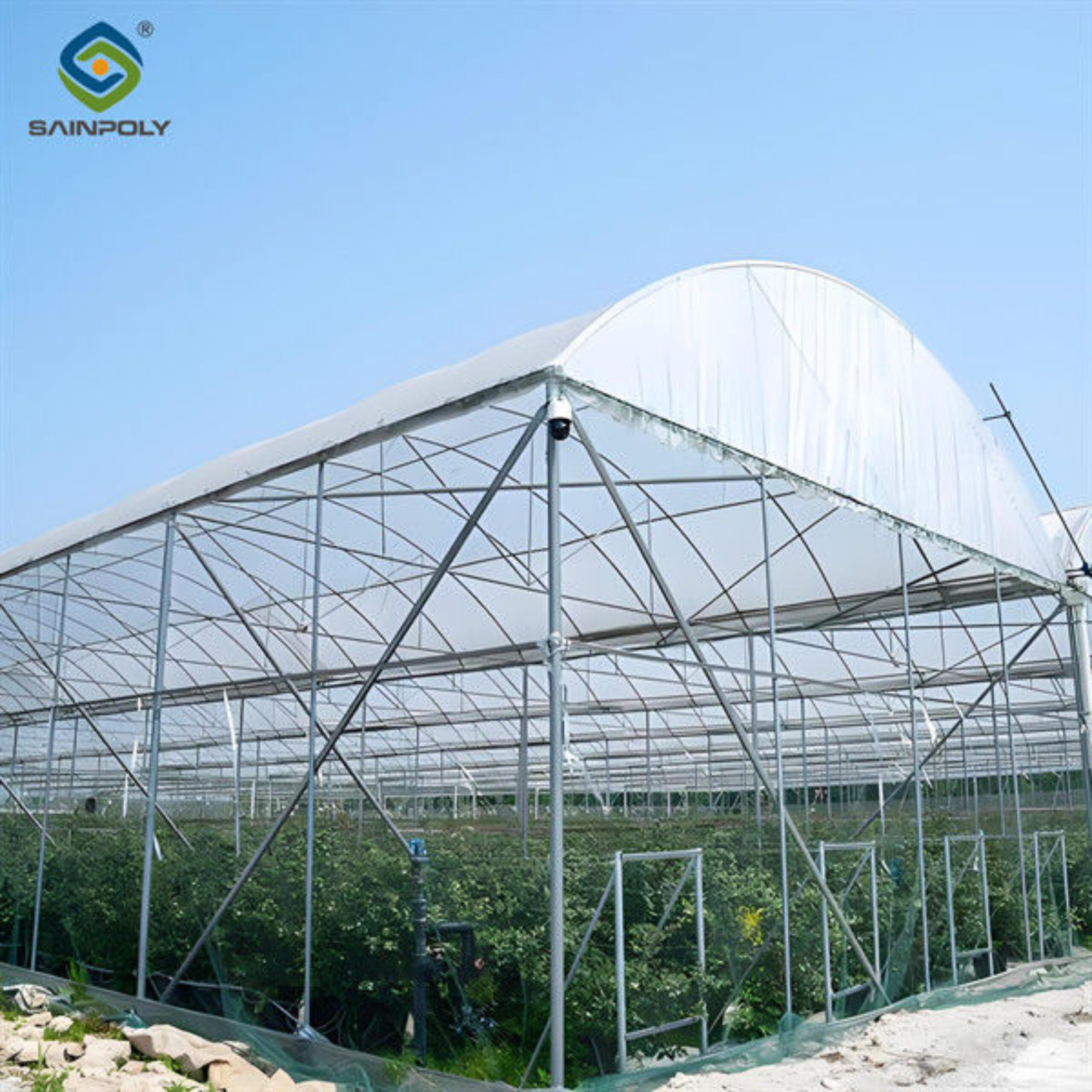 Easy To Assemble Transparent Blueberry Greenhouse With Electric Systems