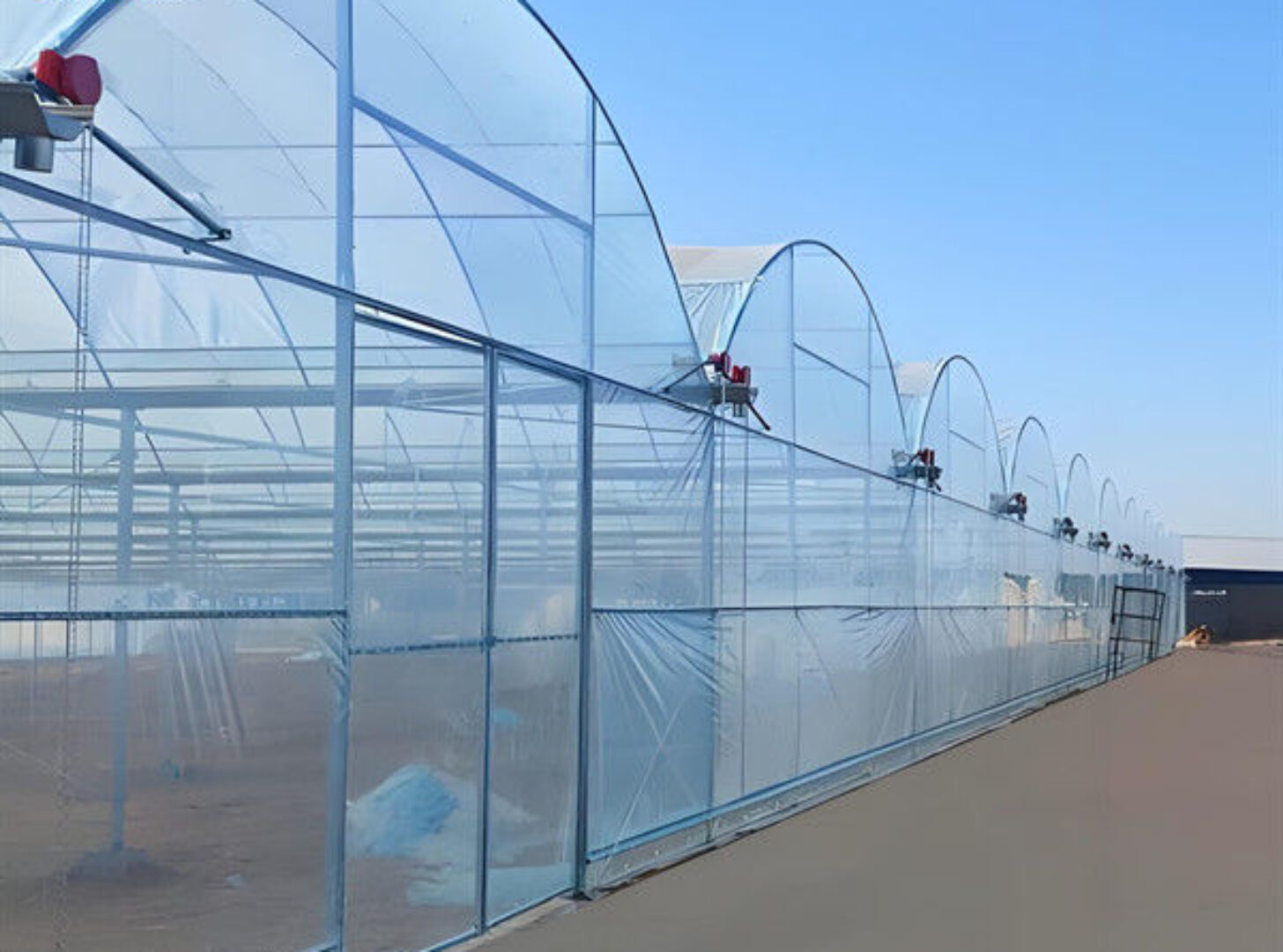 Economical Commercial NFT Hydroponic Greenhouse Plastic Film Greenhouse
