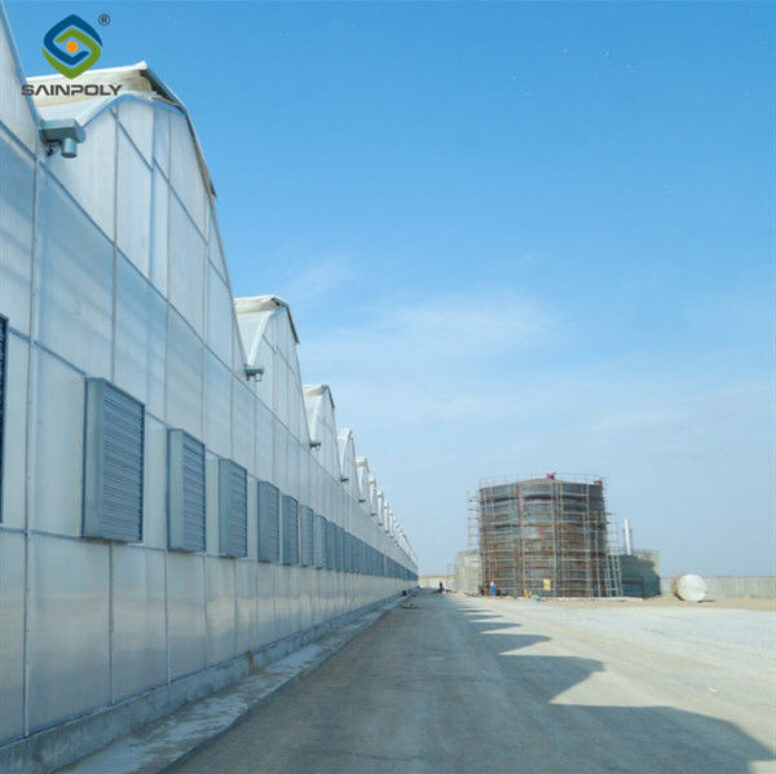 Economical Commercial NFT Hydroponic Greenhouse Plastic Film Greenhouse