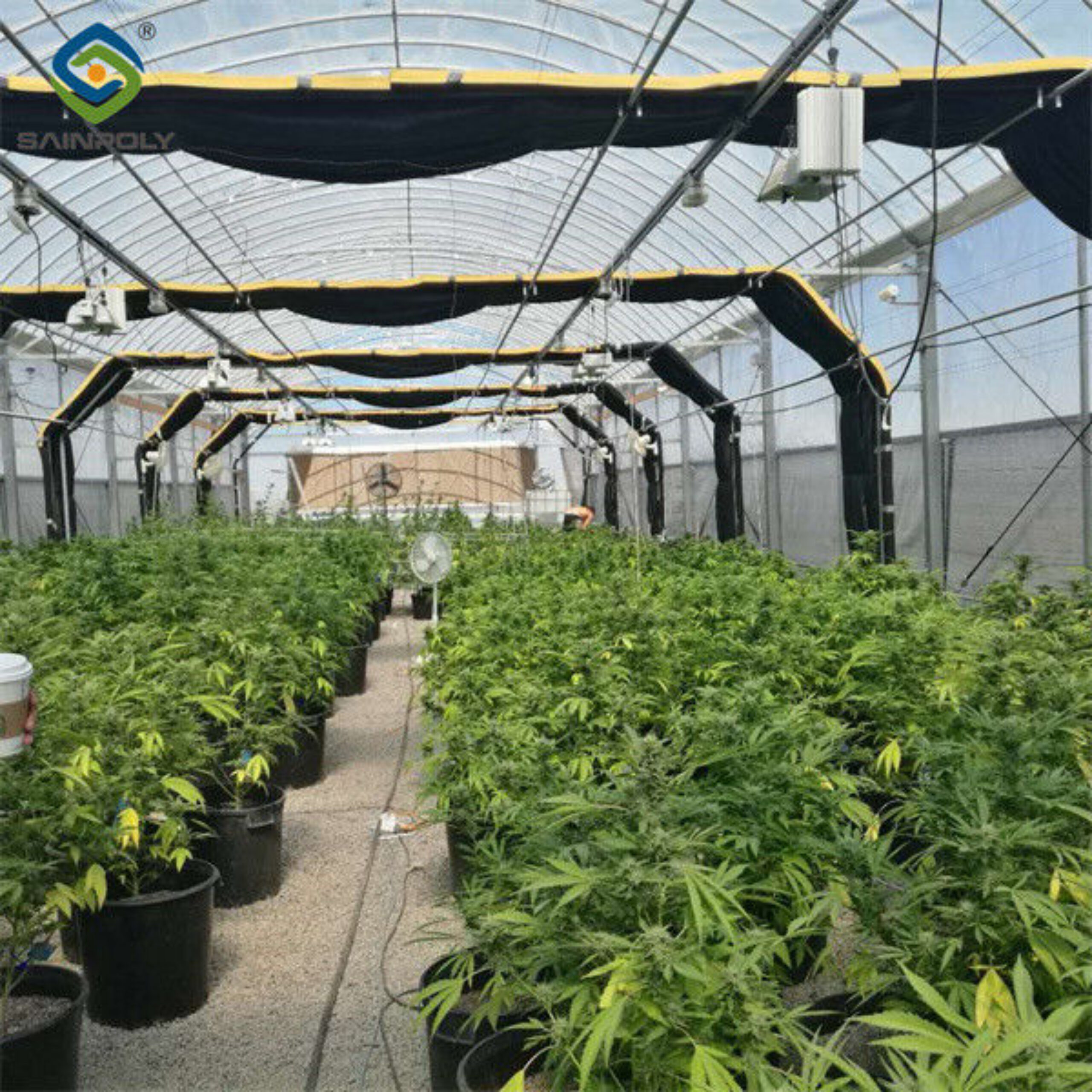 Electric Type Full Dark Blackout Greenhouse For Agricultural Commercial