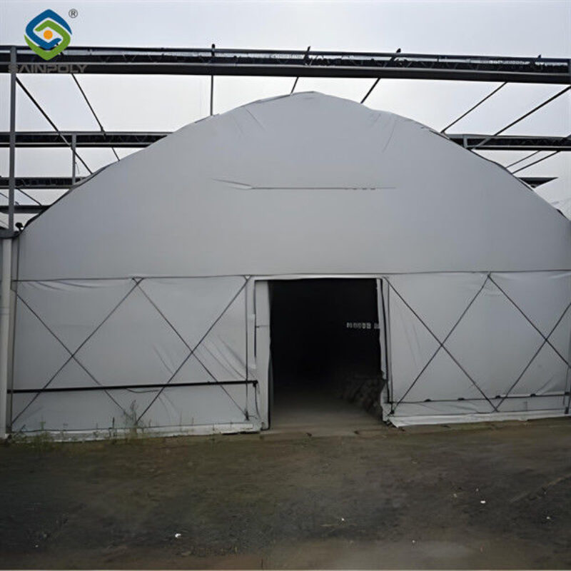 Electrical Control Mushroom Growing Greenhouse With Hot Galvanizing Pipe Structure