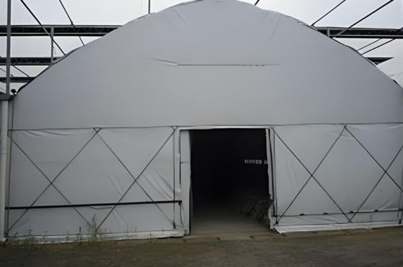 Electrical Control Mushroom Growing Greenhouse With Hot Galvanizing Pipe Structure