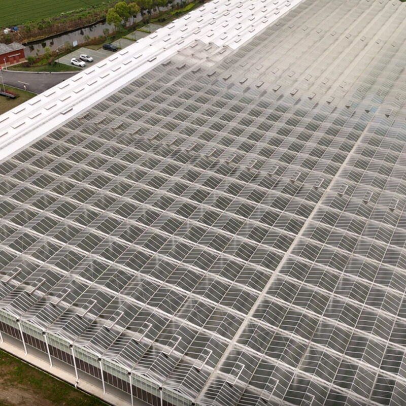 (Elevated Strawberry Hydroponics) Vertical Cultivation Commercial Multi-Span Hydroponic Greenhouse -