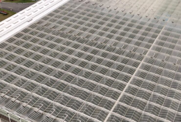 (Elevated Strawberry Hydroponics) Vertical Cultivation Commercial Multi-Span Hydroponic Greenhouse -