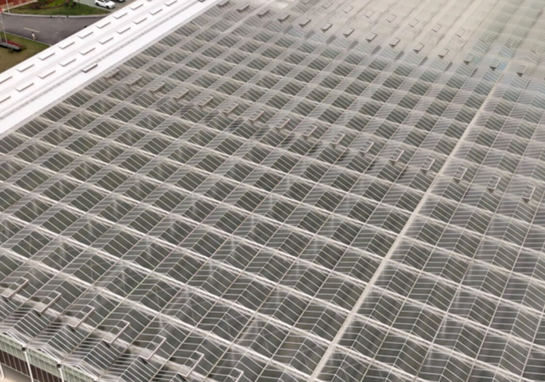(Elevated Strawberry Hydroponics) Vertical Cultivation Commercial Multi-Span Hydroponic Greenhouse -