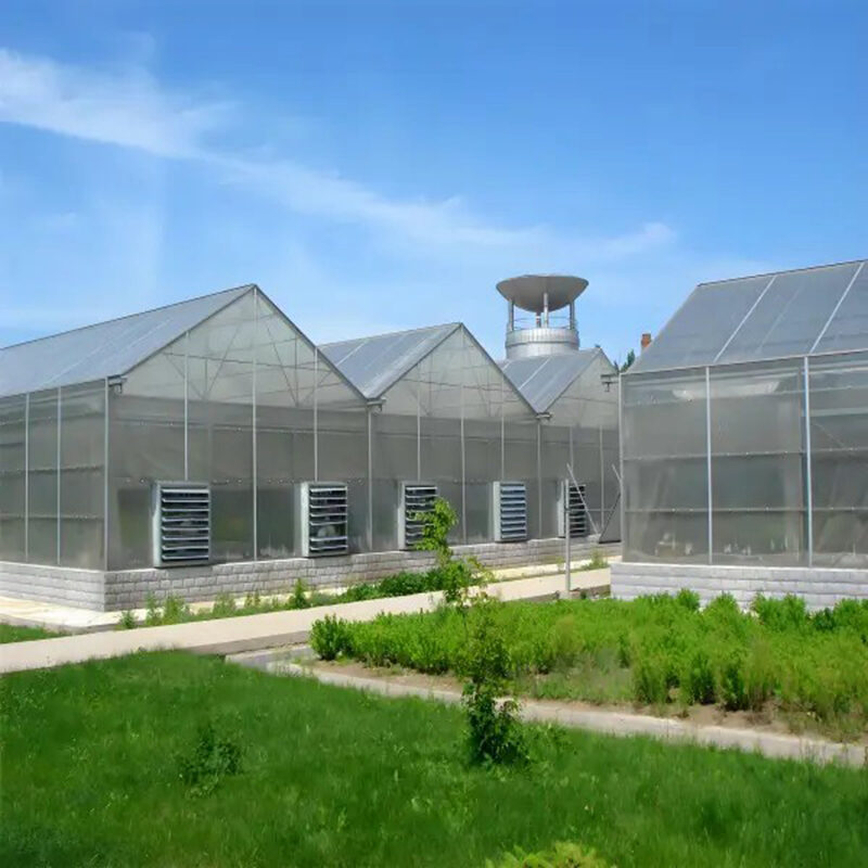 Factory manufacturing of commercial polycarbonate greenhouses for vegetable cultivation