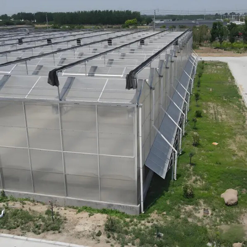Factory manufacturing of commercial polycarbonate greenhouses for vegetable cultivation