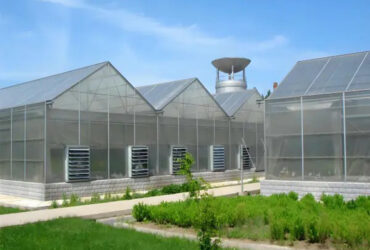 Factory manufacturing of commercial polycarbonate greenhouses for vegetable cultivation