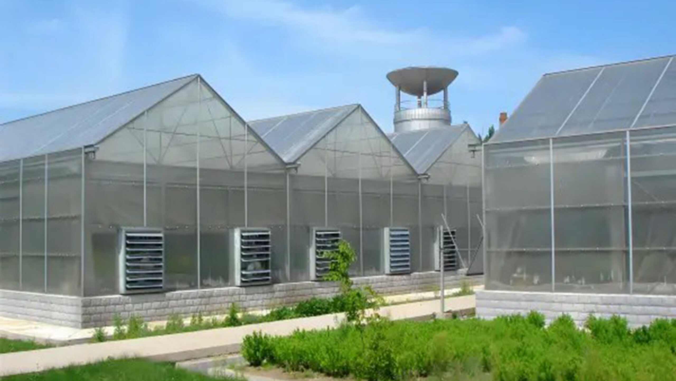 Factory manufacturing of commercial polycarbonate greenhouses for vegetable cultivation