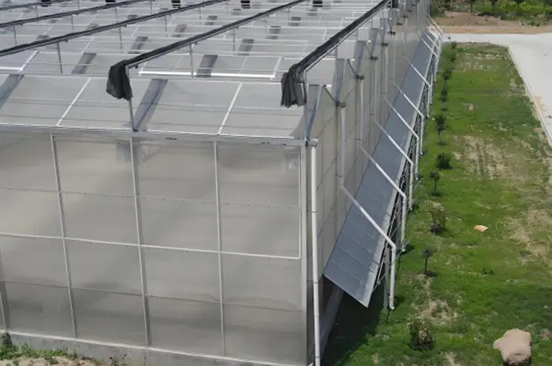 Factory manufacturing of commercial polycarbonate greenhouses for vegetable cultivation