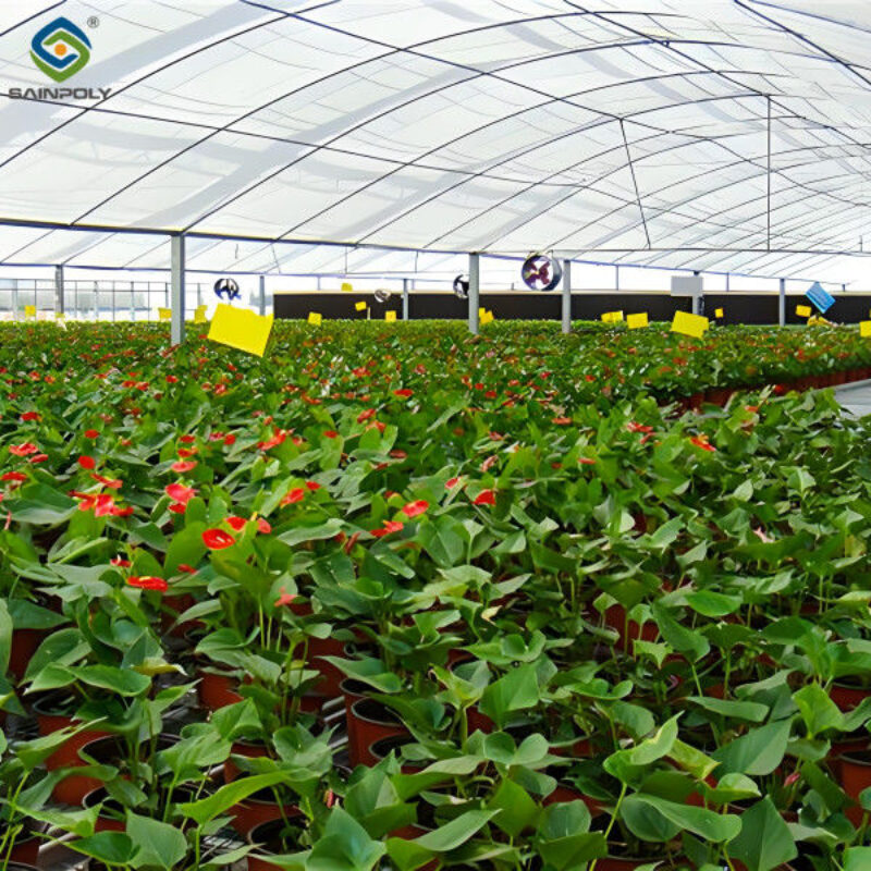 Film Covering Intelligent Greenhouse Waterproof With Automatic Electric Systems