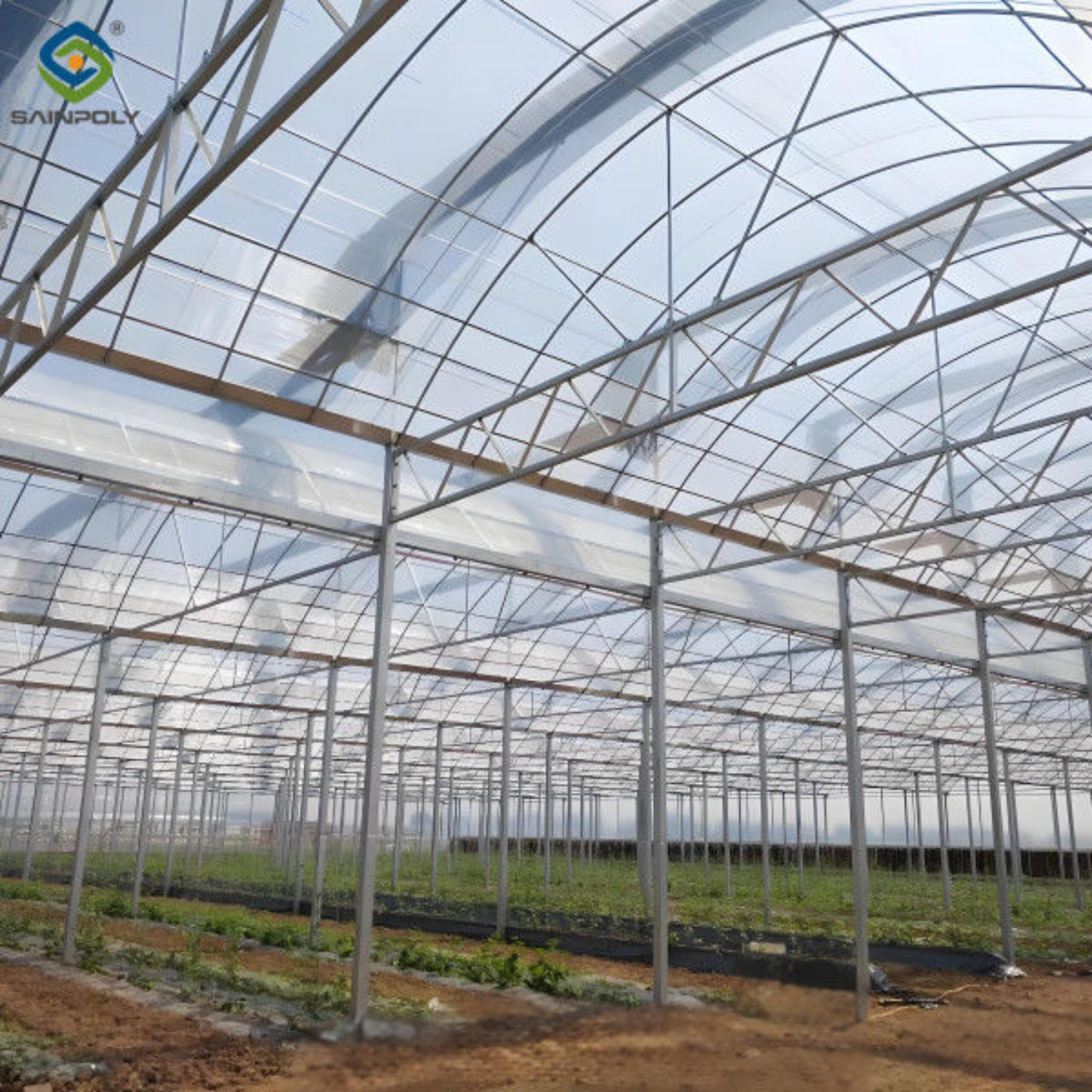 Film Covering Intelligent Greenhouse Waterproof With Automatic Electric Systems