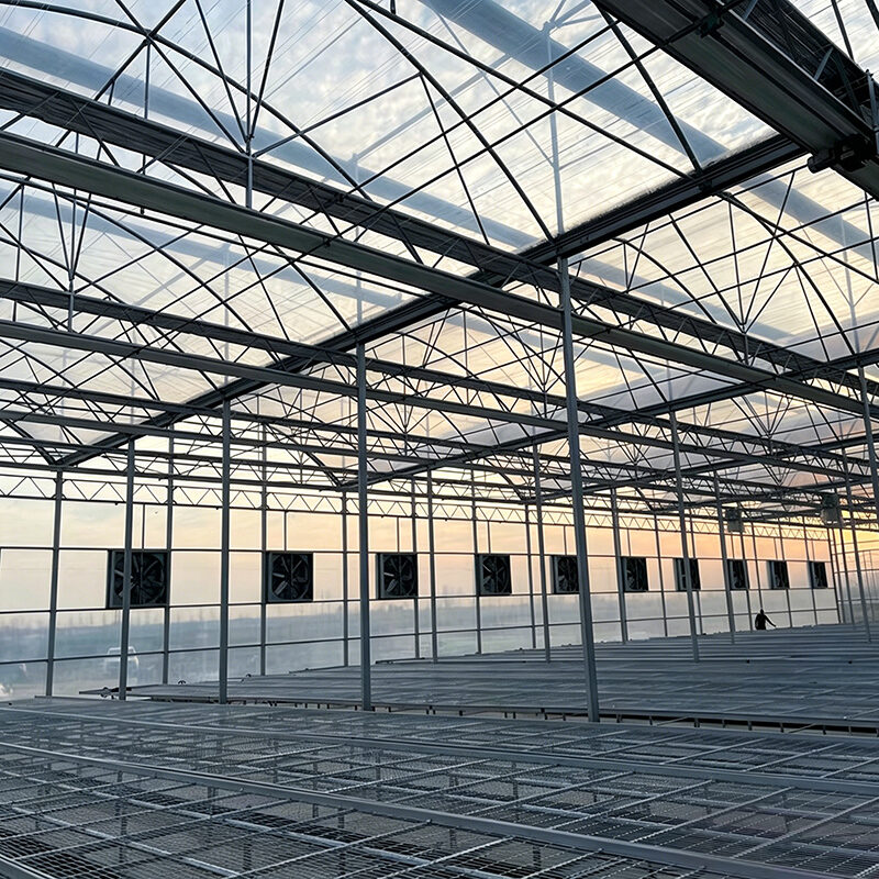 Film Greenhouse for Commercial Agricultural Cultivation