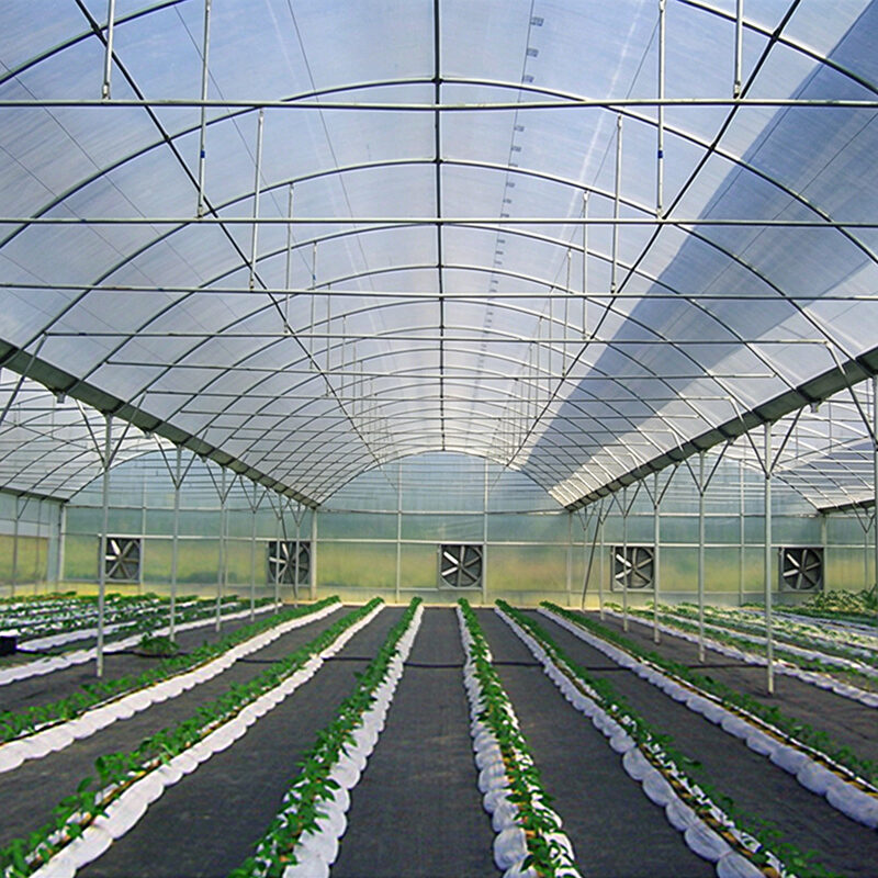 Film Greenhouse for Commercial Agricultural Cultivation