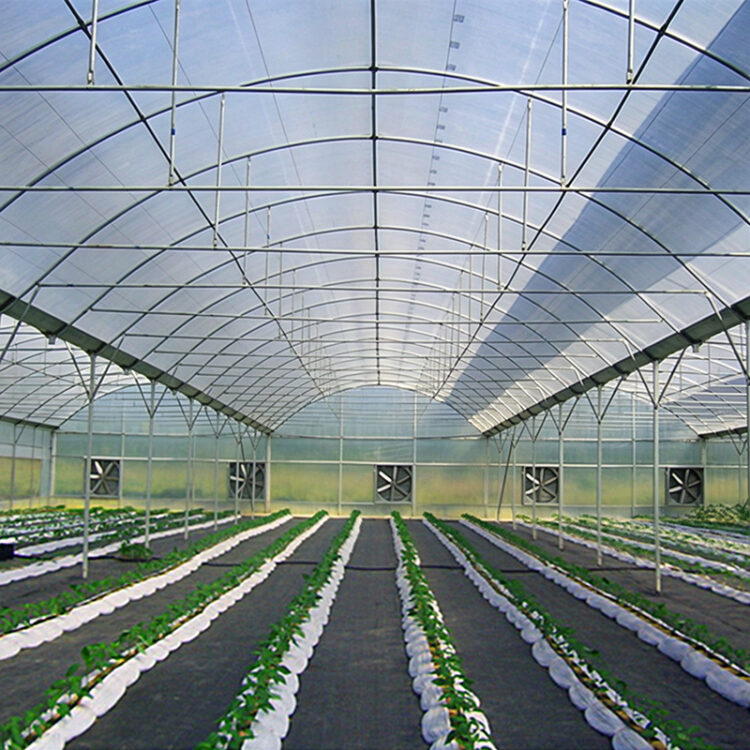 Film Greenhouse for Commercial Agricultural Cultivation