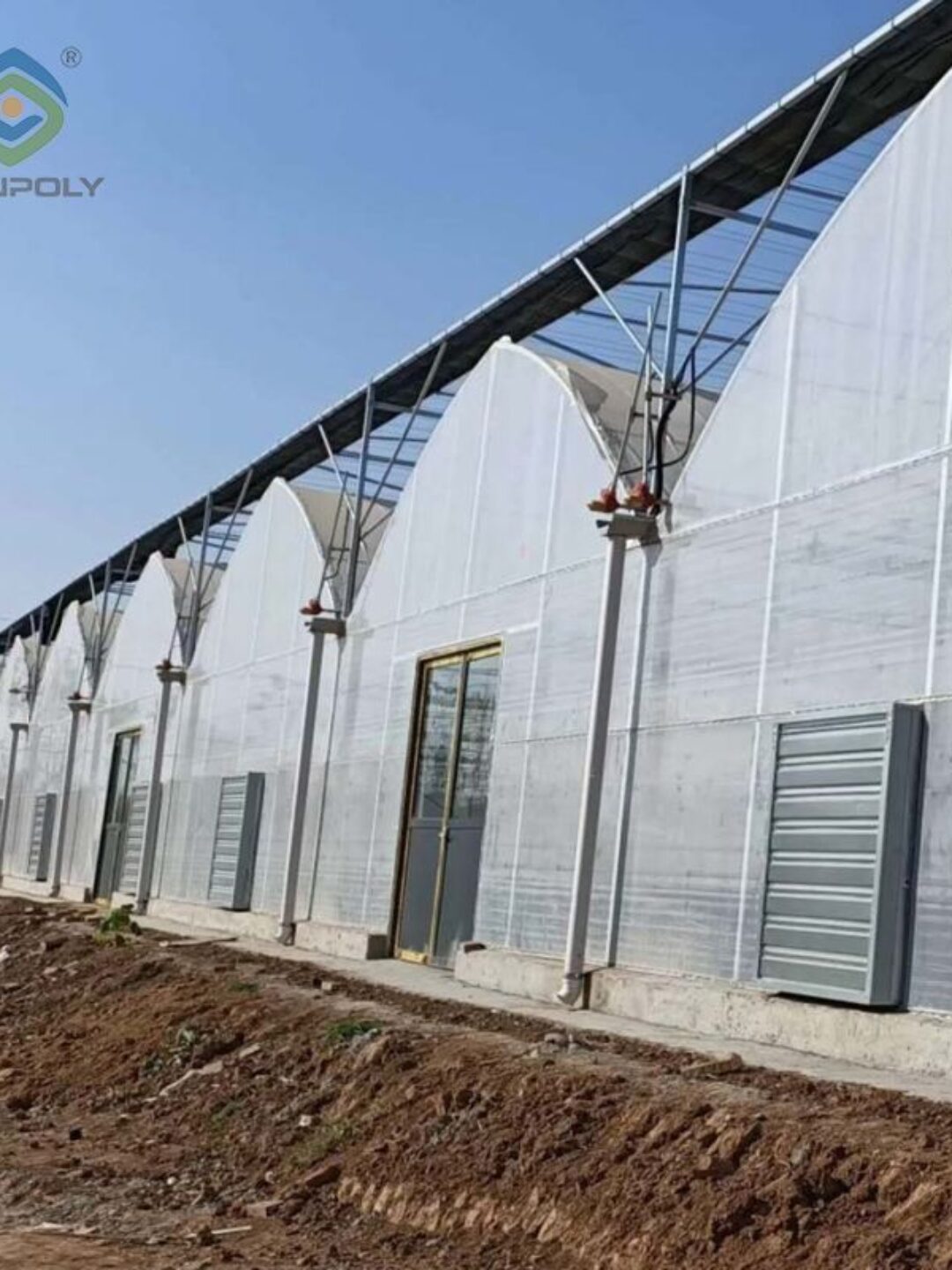 Film Greenhouse for Vegetable Cultivation