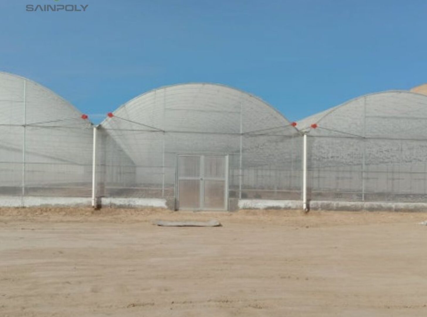 Film Greenhouse for Vegetable Cultivation