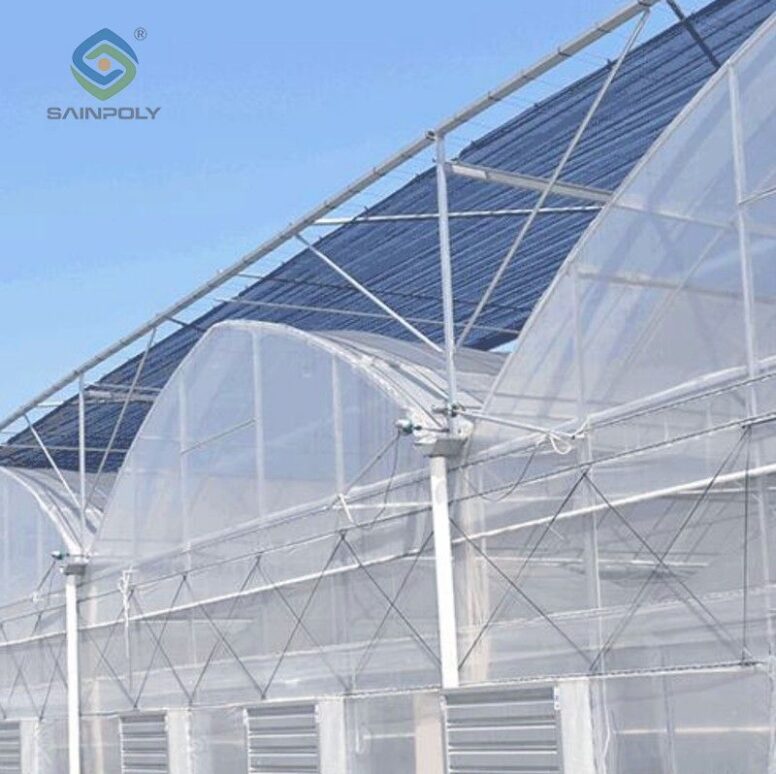 Film Greenhouse for Vegetable Cultivation